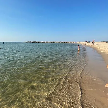 Hippalos Ярославец