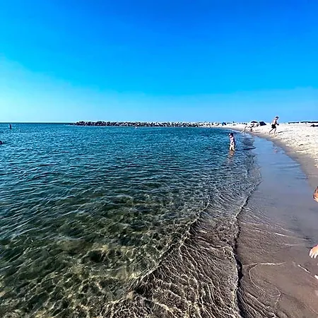 Orman Evi Hippalos *